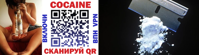 Купить закладки  Зима  COCAIN FishScale 