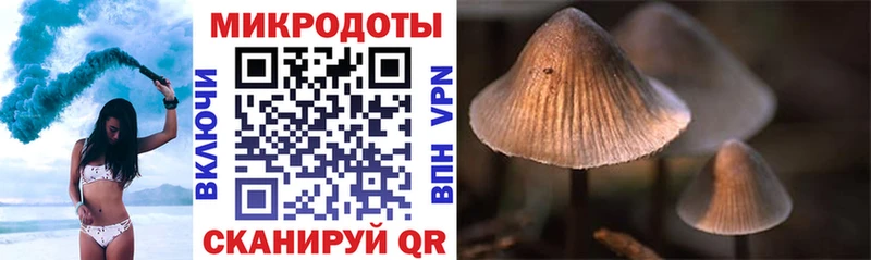 Галлюциногенные грибы Cubensis  Купить где  Зима 